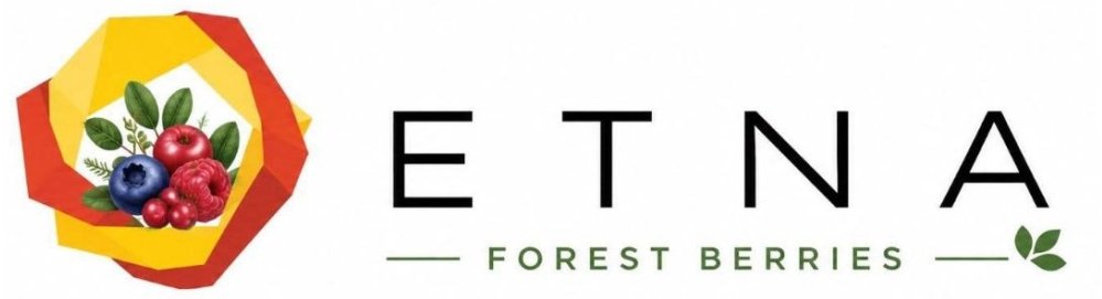Etna company logo